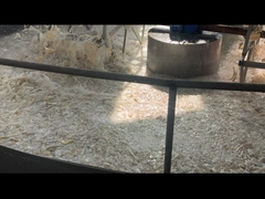 สารยาประเภทเจลาตินสับจากวัว ด้วยความแข็งแกร่ง 160-280 ก้อน