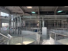 การใช้สารสีสําอาง คอลลาเจนเพปติด สําหรับการเก็บไว้ห่างจากแสงและอุณหภูมิสูง